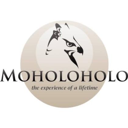 Moholoholo Forest and Mountain View Lodge