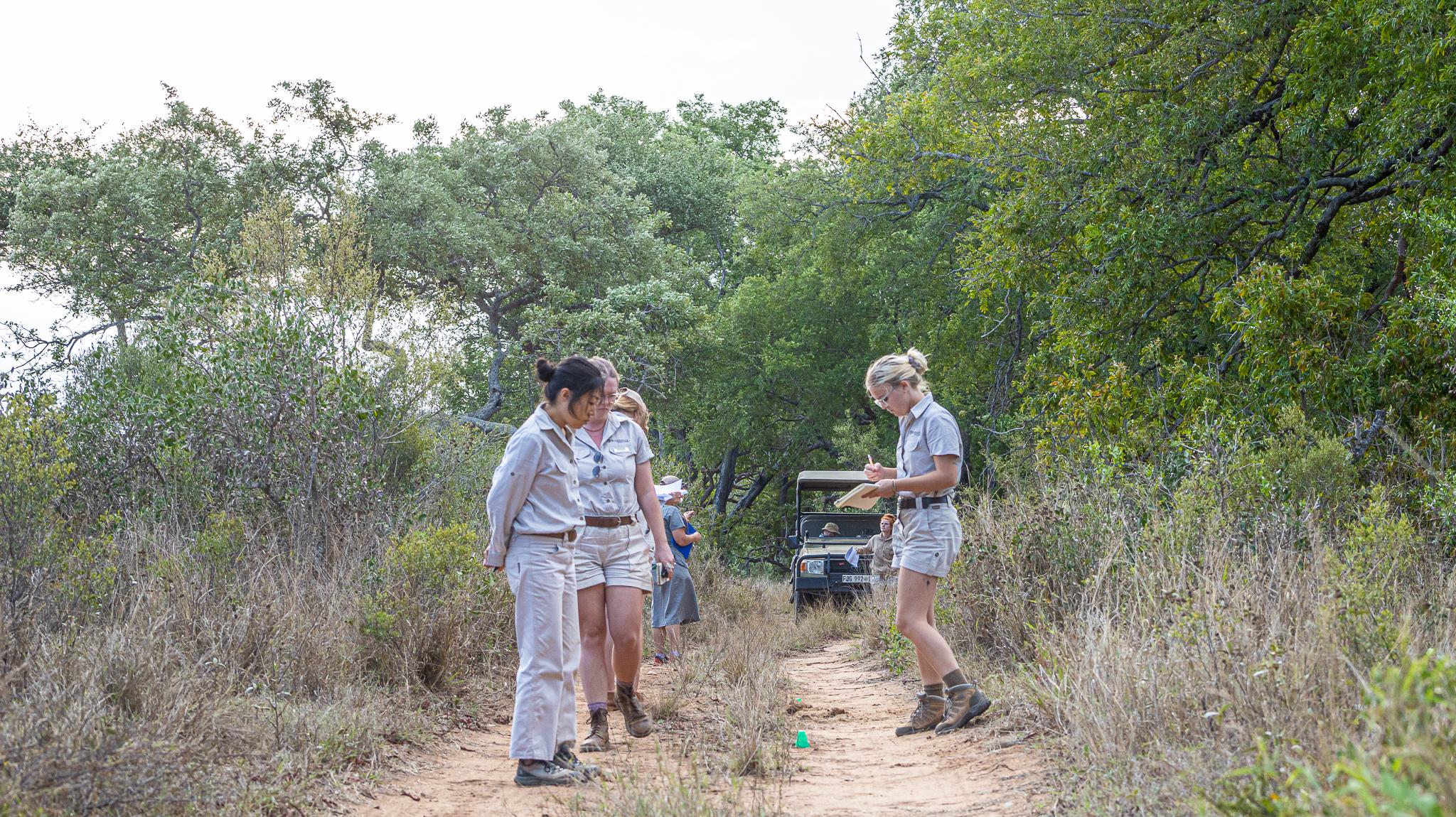 How do I become a safari guide in South Africa?