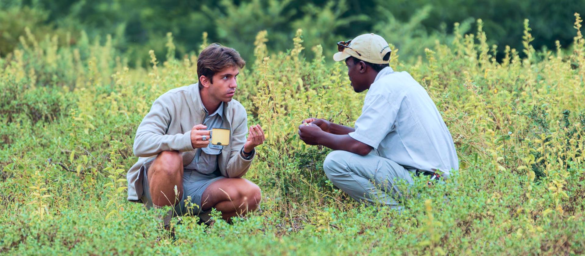What qualifications do game reserve managers need?