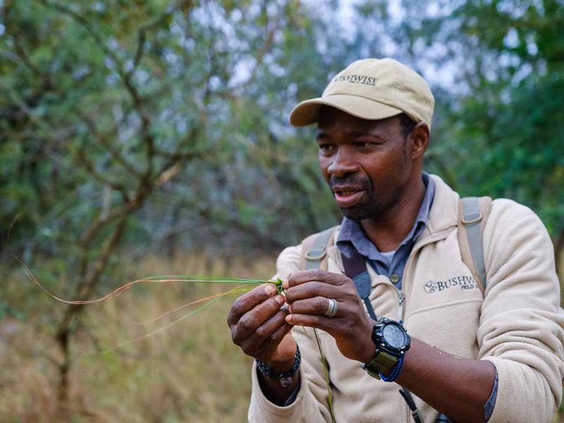 Career changer training as a field guide