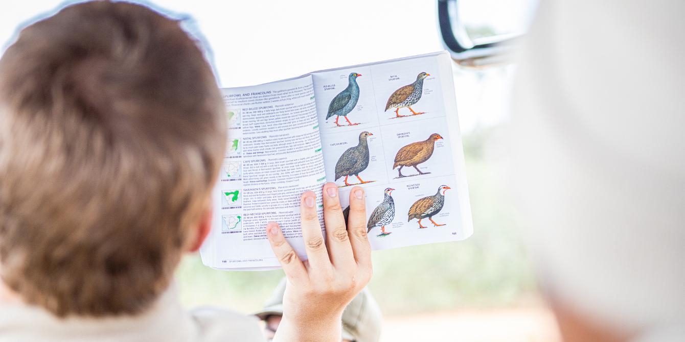 What is a field guide? About field guide books