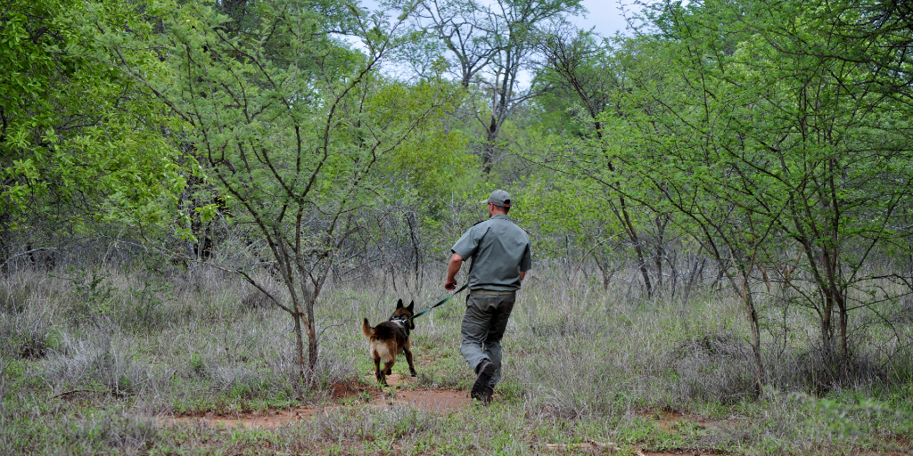 Field ranger training and World Ranger Day