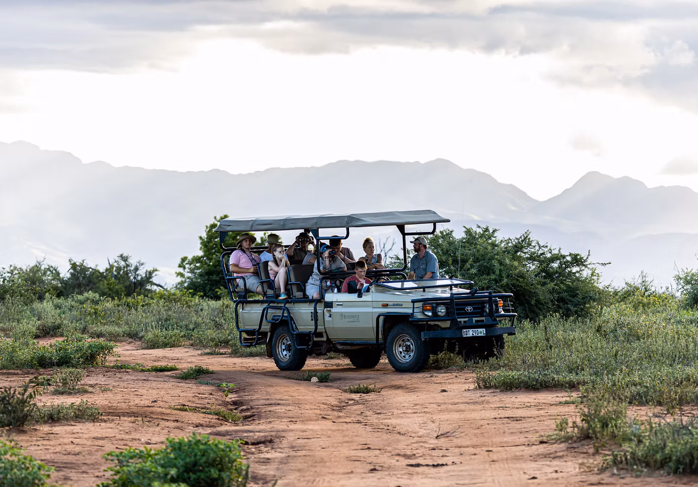 Make the most of your safari experience
