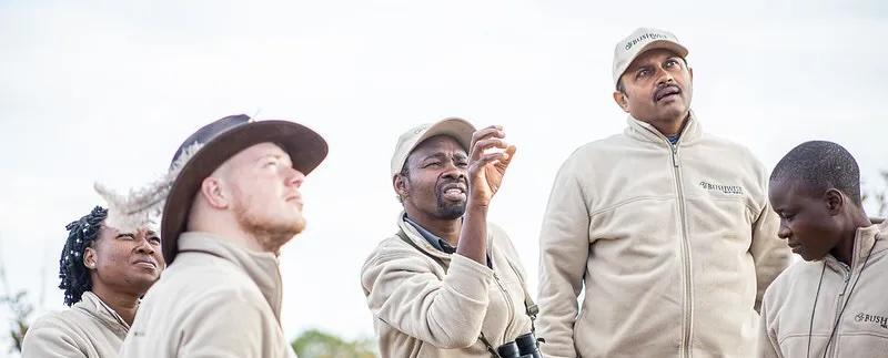 Bushwise field guides stars shine bright