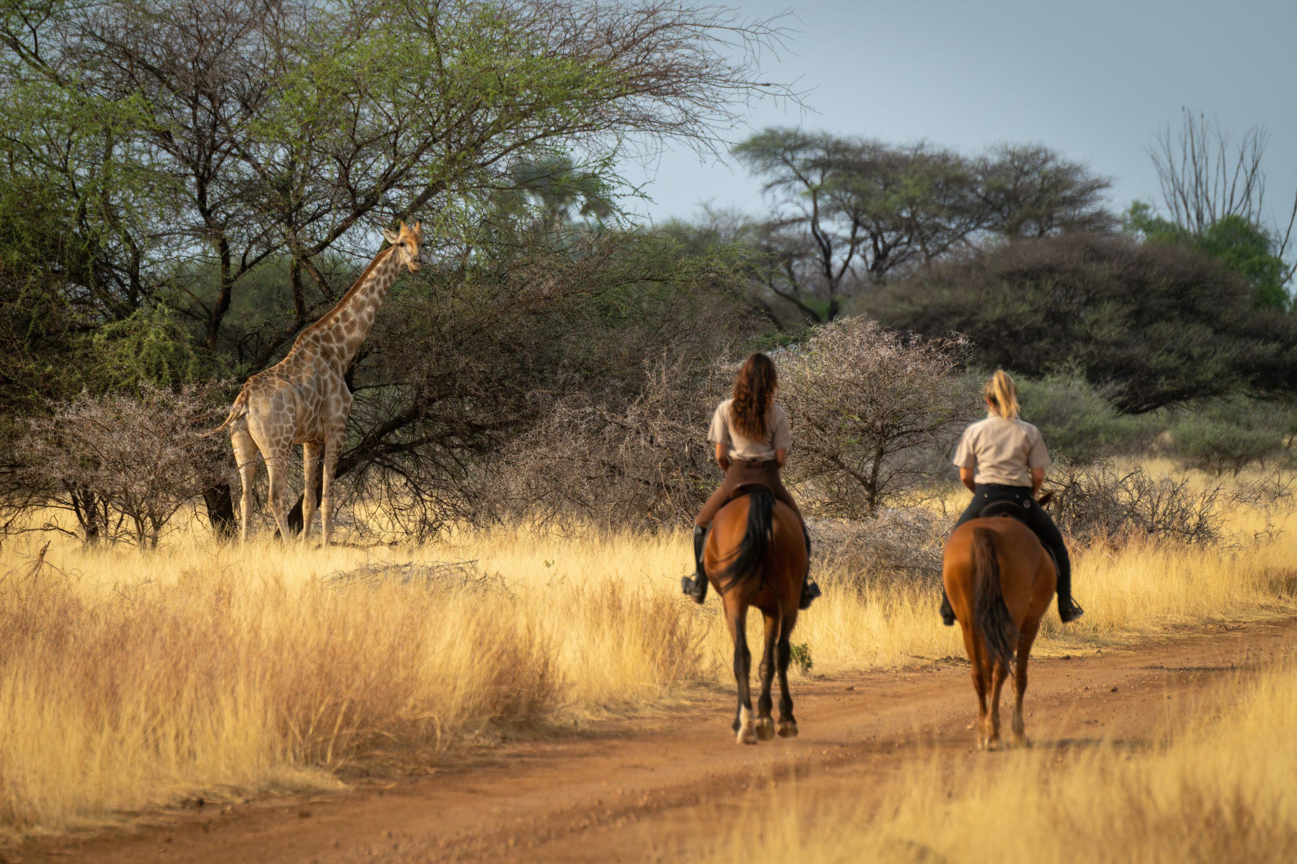 Horseback trails guide