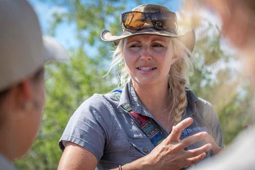 Safari industry expertise