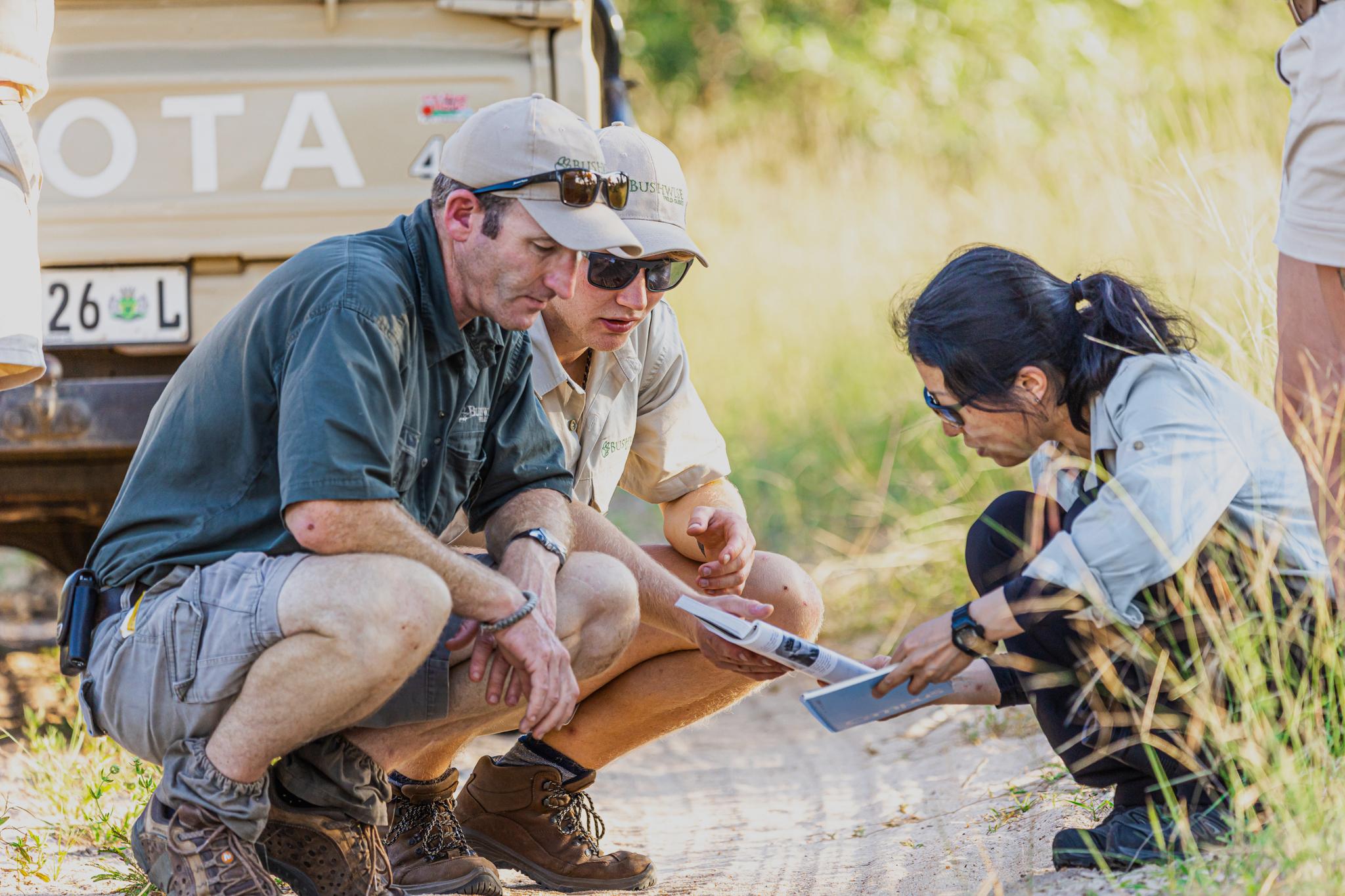 Why Take a Sabbatical with Bushwise?