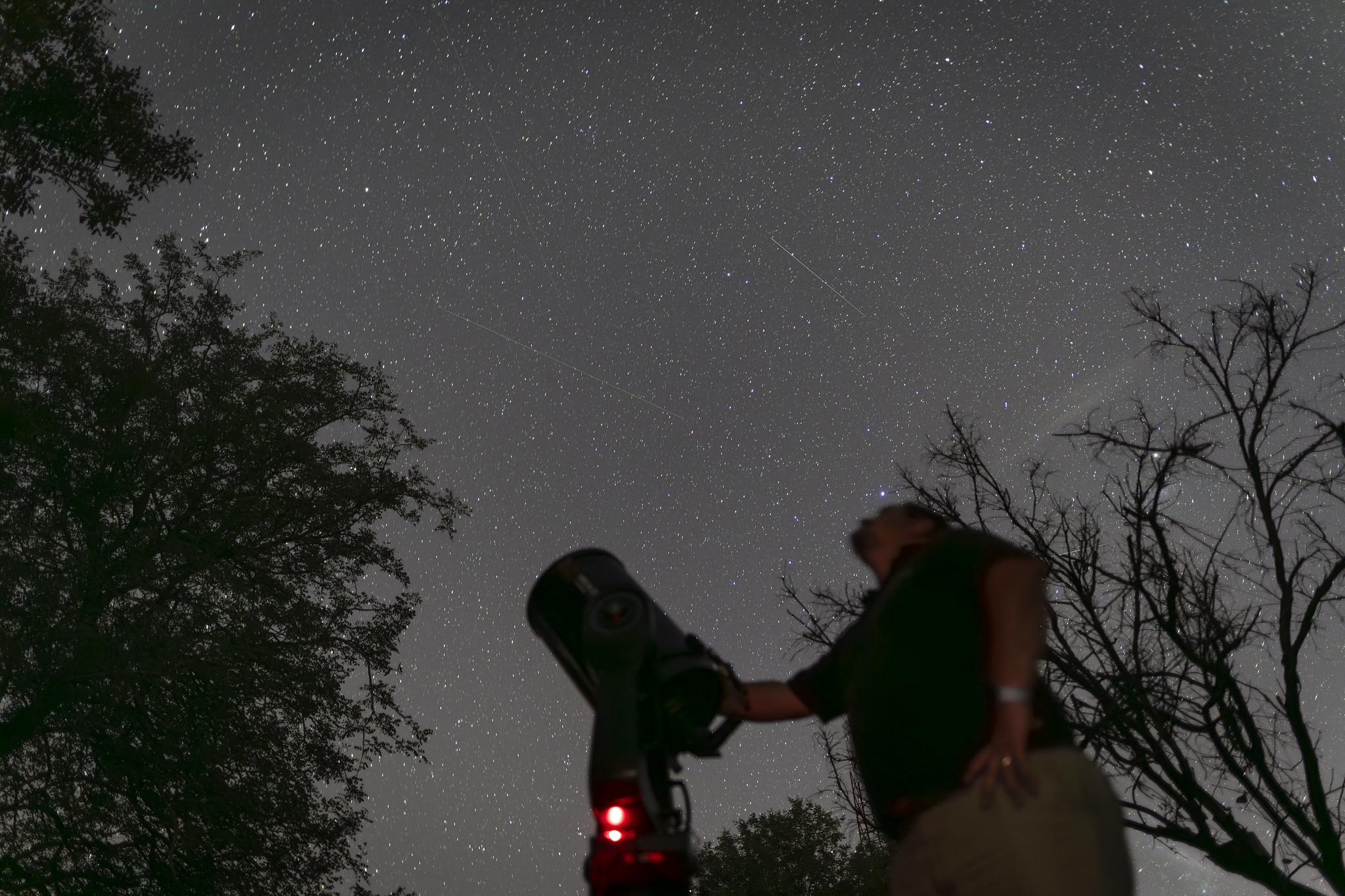 DAY 4<br>Stargazing & sleepout under the stars